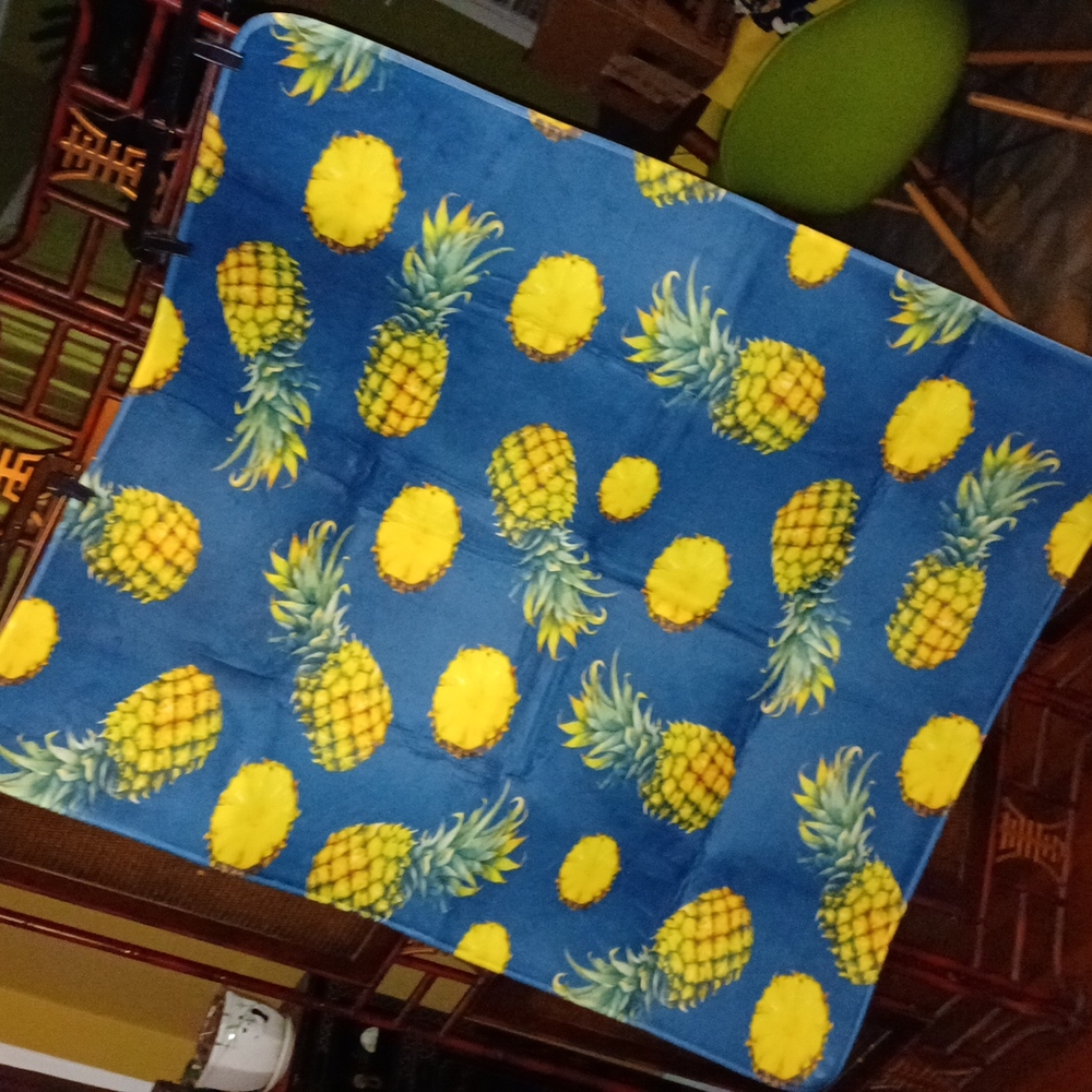 Pineapple mat/rug